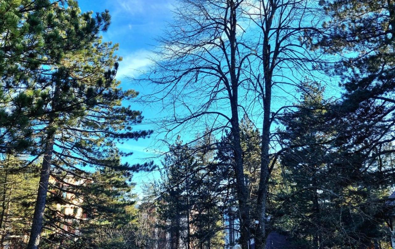 Vila Lucic Zlatibor Luaran gambar