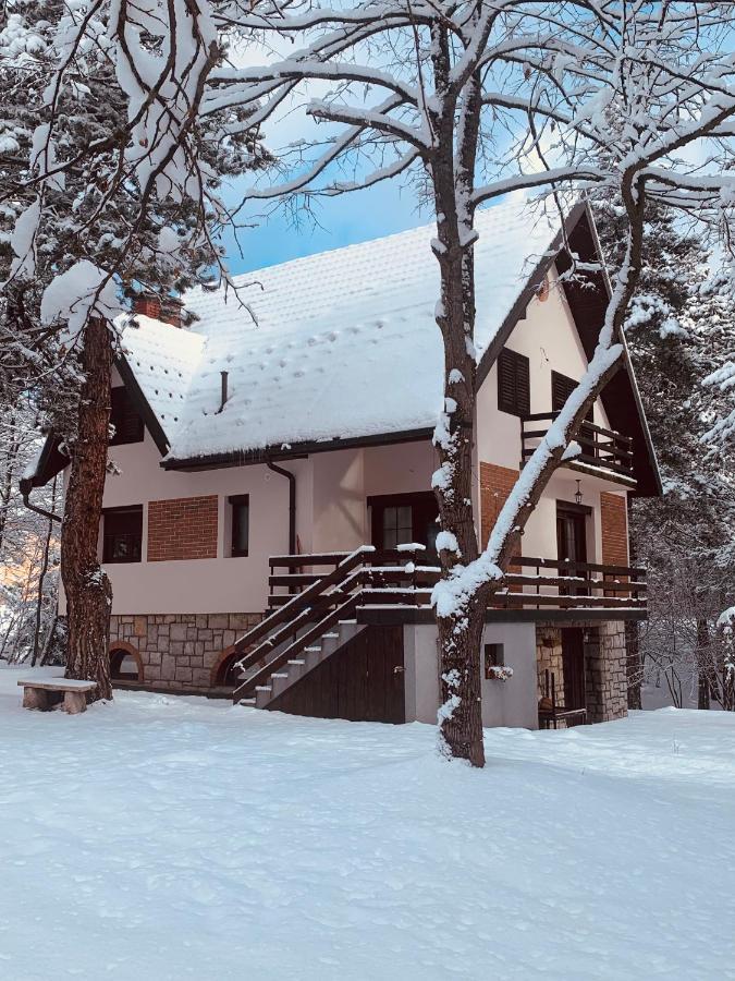 Vila Lucic Zlatibor Luaran gambar