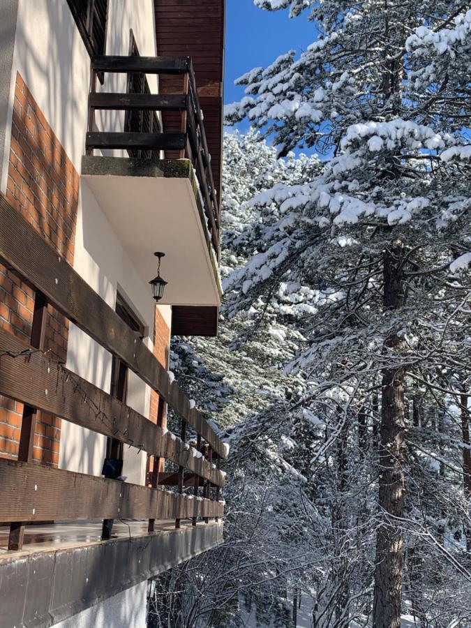 Vila Lucic Zlatibor Luaran gambar