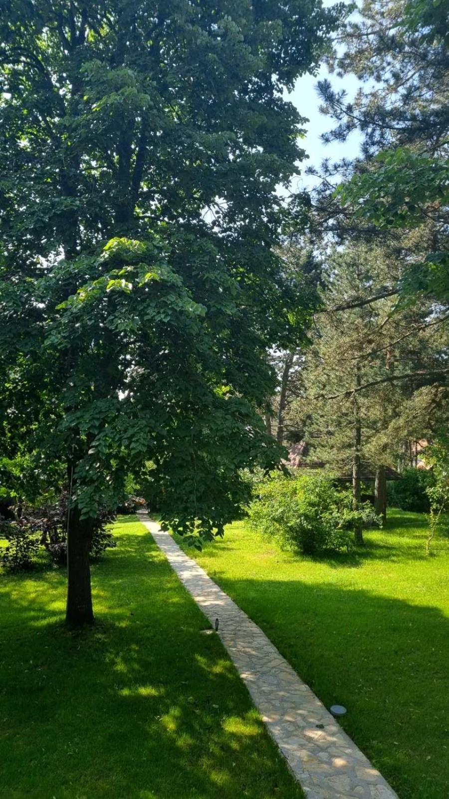 Vila Lucic Zlatibor Luaran gambar